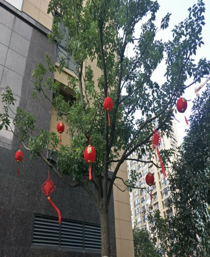 萬華德欣小區和諧迎國慶